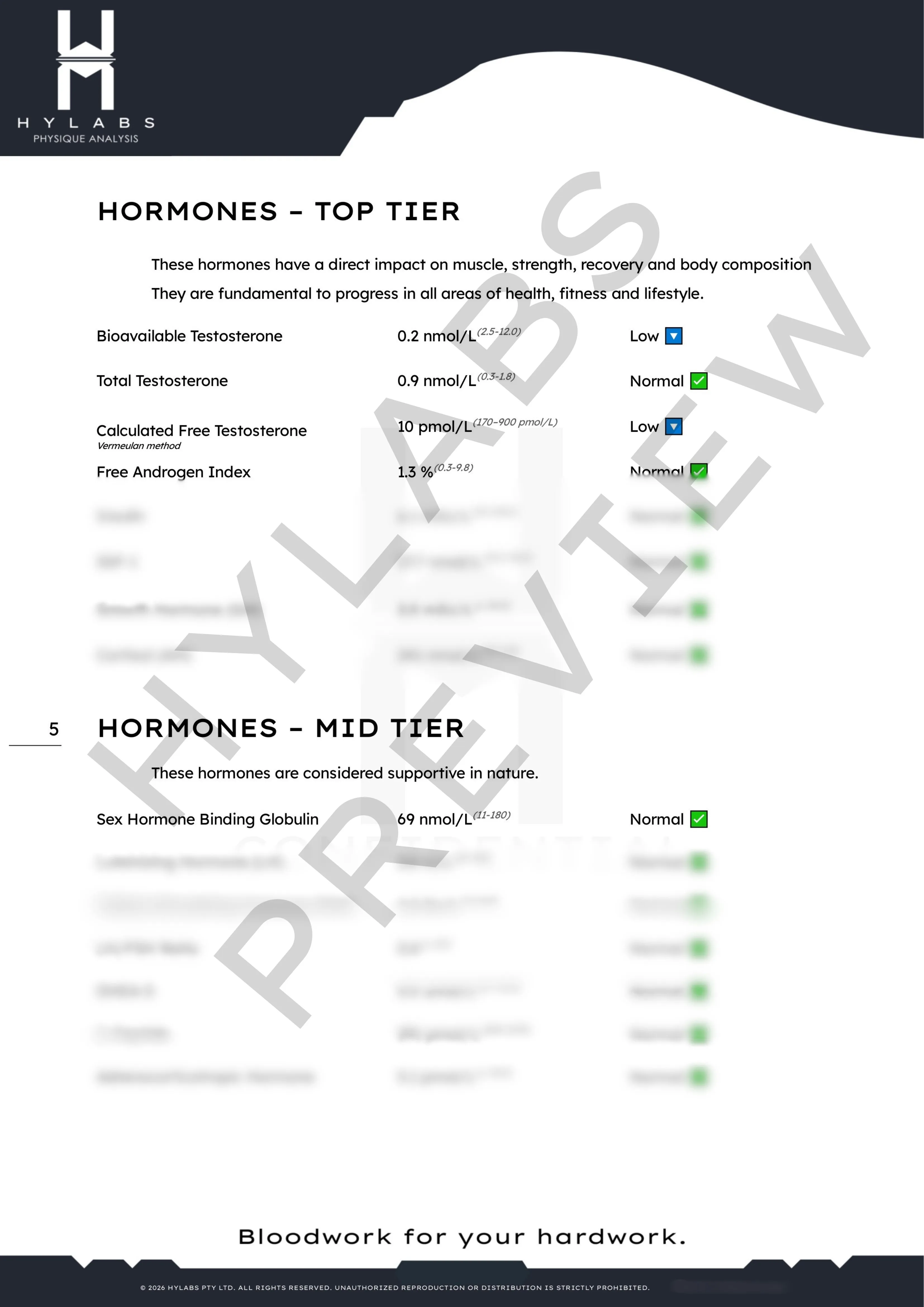 Sample blood panel analysis report page 2
